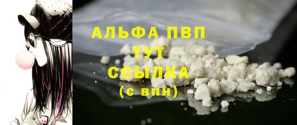 прущие грибы Осинники