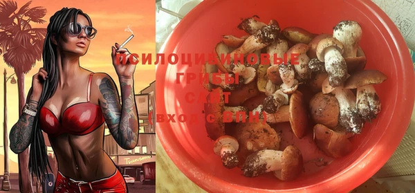 прущие грибы Осинники
