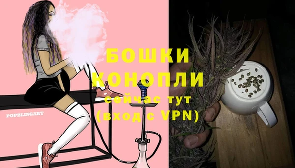 прущие грибы Осинники